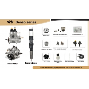Common rail injector for denso Series